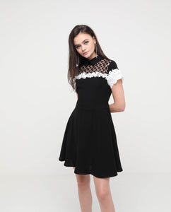 Covin Black Lace Collar Dress